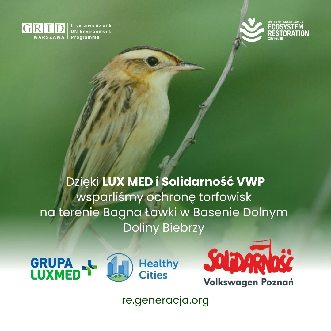 ekosystem po (2) 1.jpg